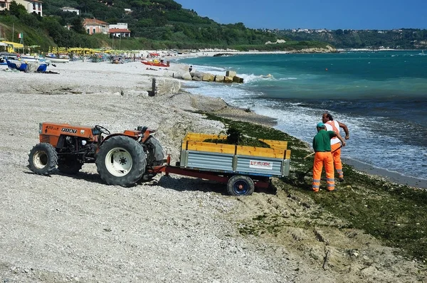 Abruzzo Italy July 2006 Workers Remove Seaweed Other Trash Beach — Stock Photo, Image