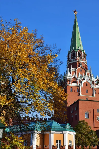 Luminoso Follaje Sobre Árbol Otoño Torre Troitskaya Del Kremlin Moscú —  Fotos de Stock