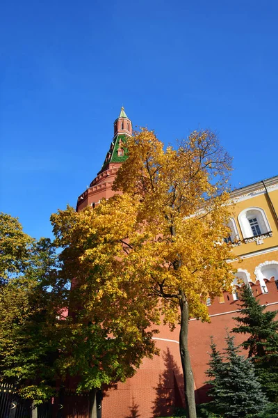 Яскраві Листя Осінні Дерева Кут Арсенал Башта Всеросійським Проти Синього — стокове фото