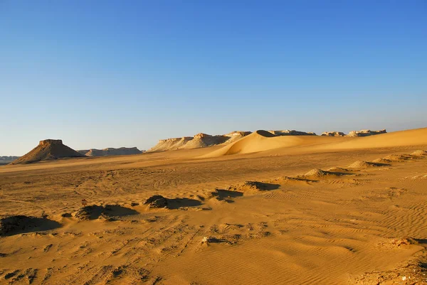 Sahra Çölü Batımında Güzel Manzara Mısır — Stok fotoğraf