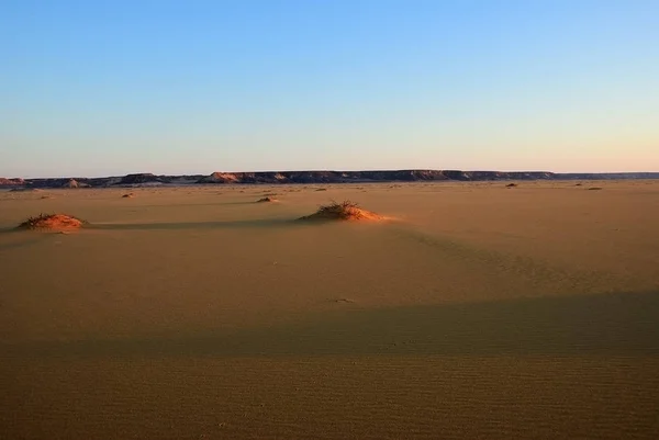 Sahra Çölü Günbatımı Mısır Daki Dakhla Oasis Yakın Güzel Manzarasına — Stok fotoğraf