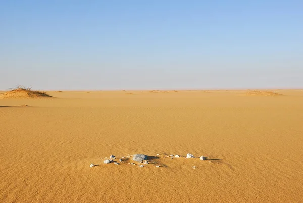 Saara Deserto Bela Paisagem Nas Proximidades Dakhla Oásis Egito Luz — Fotografia de Stock
