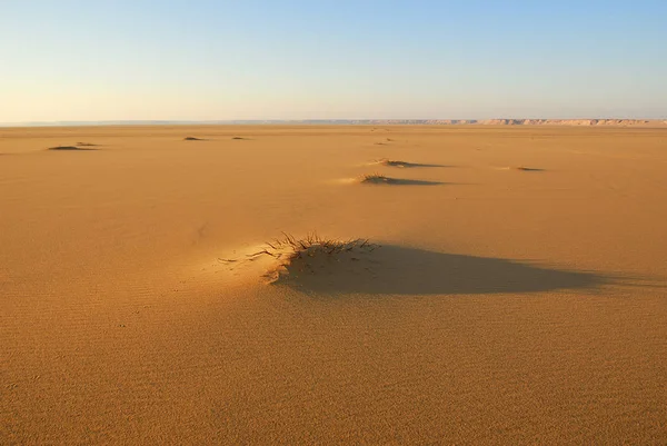 Sahara Wüste Schöne Landschaft Der Nähe Dakhla Oase Ägypten Bei — Stockfoto