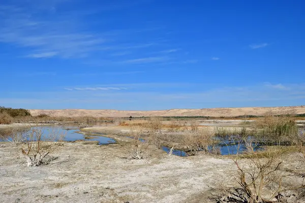 Farafra Oasis Sahara Lake Desert Egypt — Stock Photo, Image