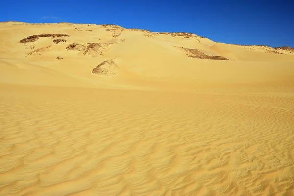 Paisaje Del Desierto Occidental Duna Arena Grande Atardecer Sahara Egipto — Foto de Stock