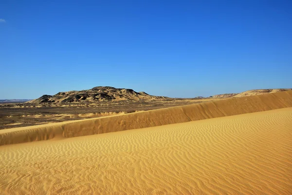 Westliche Wüstenlandschaft Große Sanddüne Bei Sonnenuntergang Sahara Ägypten — Stockfoto