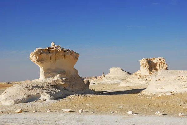 Прекрасный Пустынный Пейзаж Западная Белая Пустыня Сахара Египет Африка Эль — стоковое фото