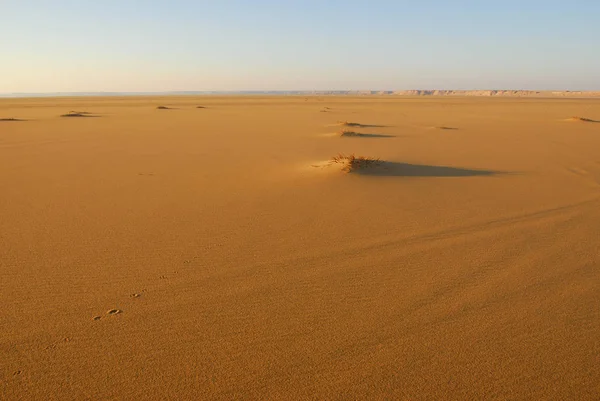 Sahara Woestijn Mooi Landschap Buurt Van Dakhla Oase Egypte Sanset — Stockfoto