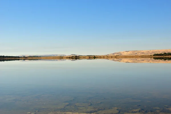 Oasis Farafra Sahara Lago Desierto Egipto — Foto de Stock