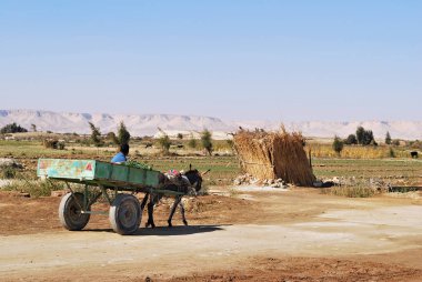 Mısır köylü de yol Farafra oasis bir arabaya biniyor. Mısır, Batı çöl, Afrika