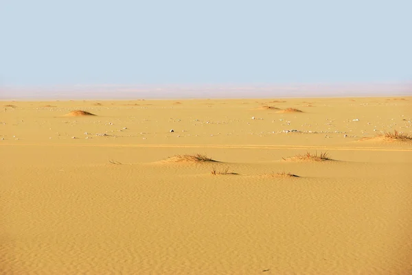 Sahara Pouštní Krásnou Krajinu Okolí Oázy Dachla Egyptě Ranním Světle — Stock fotografie