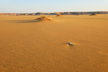 Sahara desert beautiful landscape nearby Dakhla oasis in Egypt at morning light. Africa clipart