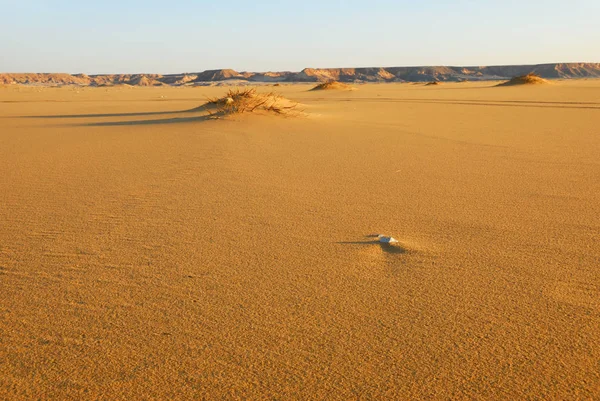 Пустыня Сахара Красивый Пейзаж Рядом Оазисом Дахла Египте Утреннем Свете — стоковое фото