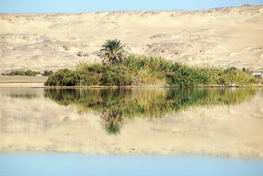 Al Farafra Sahara, göl Çölde vaha. Mısır