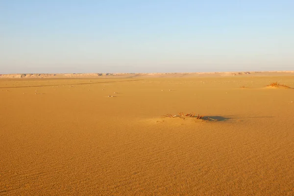Sahara Wüste Schöne Landschaft Der Nähe Dakhla Oase Ägypten Morgenlicht — Stockfoto