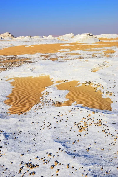 Bright yellow sand on the white marl in Western White desert at sunrise, Sahara. Egypt