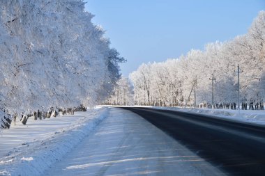 Donmuş ağaçlar örtmek mavi gökyüzü güneşli, Rusya karşı frost ile arasındaki kış yol