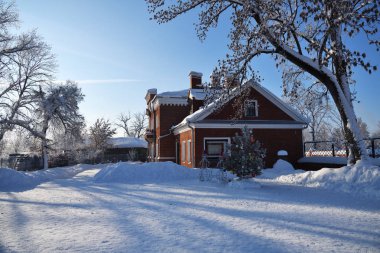Noel kırsal güneşli sabah. Avlu, Noel ağacı ve yazlık hoarfrost ile kaplı. Rusya