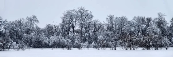 Paisaje Rural Invierno Con Árboles Congelados Cubiertos Heladas Rusia — Foto de Stock