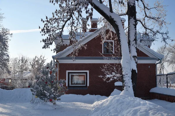 Noel kırsal güneşli sabah. Avlu, Noel ağacı ve yazlık hoarfrost ile kaplı. Rusya