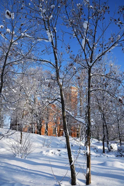 Dia Ensolarado Parque Inverno Romon Voronezh Rússia — Fotografia de Stock