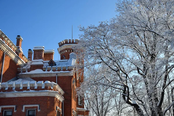 新哥特人奥尔登堡城堡在冬季公园 沃罗涅日 俄罗斯 — 图库照片