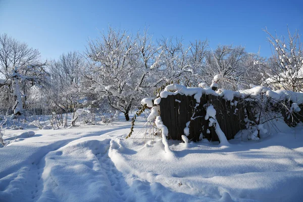Χειμωνιάτικο Αγροτικό Τοπίο Δρόμος Παγωμένα Δέντρα Καλυμμένα Παγετό Την Ηλιόλουστη — Φωτογραφία Αρχείου