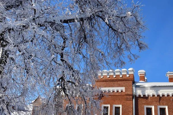 Ramon Rusland Jan 2019 Neogotthic Oldenburg Kasteel Winter Park Voronezh — Stockfoto