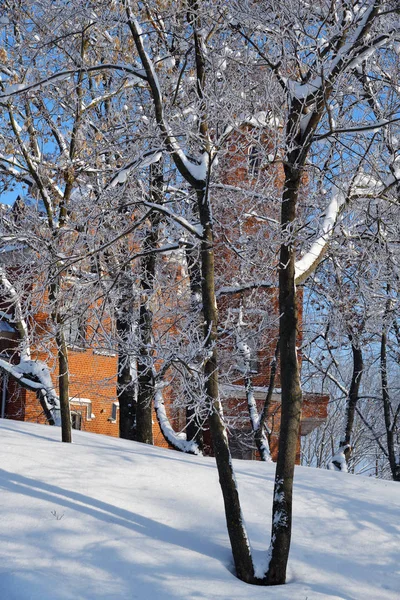 Słoneczny Dzień Winter Park Romon Voronezh Federacja Rosyjska — Zdjęcie stockowe