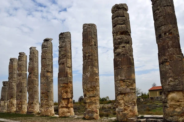 Ruina Del Templo Zeus Olbius Mostrada Otoño Anatolia Turquía — Foto de Stock