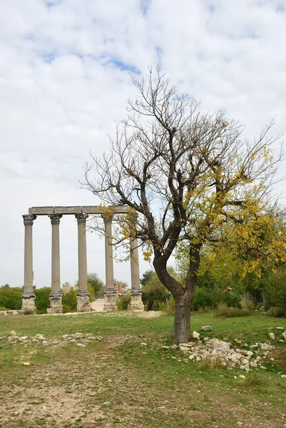 Ruina Del Templo Zeus Olbius Mostrada Otoño Anatolia Turquía — Foto de Stock