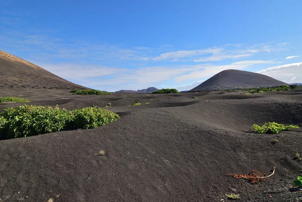 Lanzarote platteland. Canarische eilanden. Spanje — Stockfoto