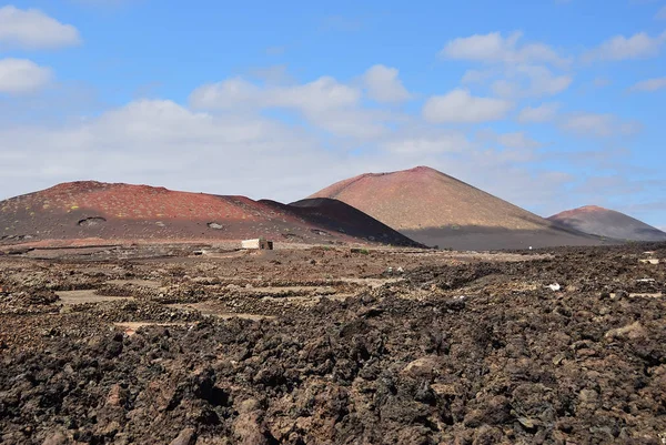 Lava fält i Lanzarote, Kanarieöarna, Spanien — Stockfoto