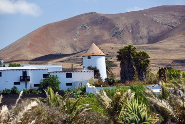 Lanzarote kırsal. Kanarya Adaları. İspanya