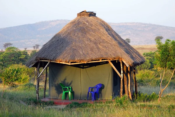 Vacaciones de safari — Foto de Stock