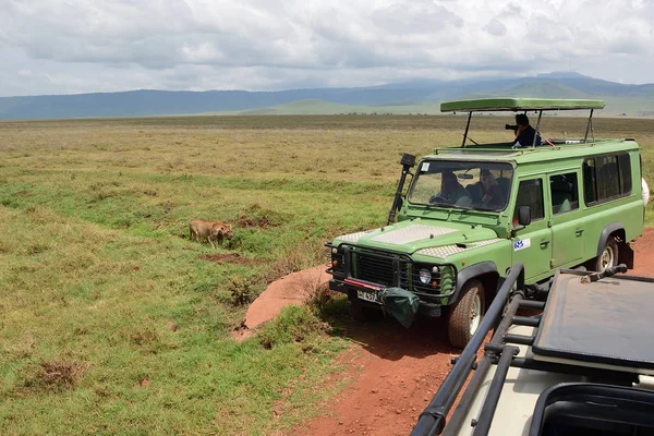 Safári africano. Ngorongoro, Tanzânia — Fotografia de Stock