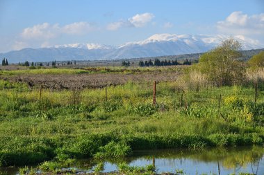 Golan Tepeleri, İsrail 