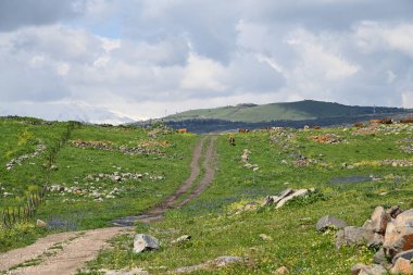 Golan Tepeleri, İsrail 