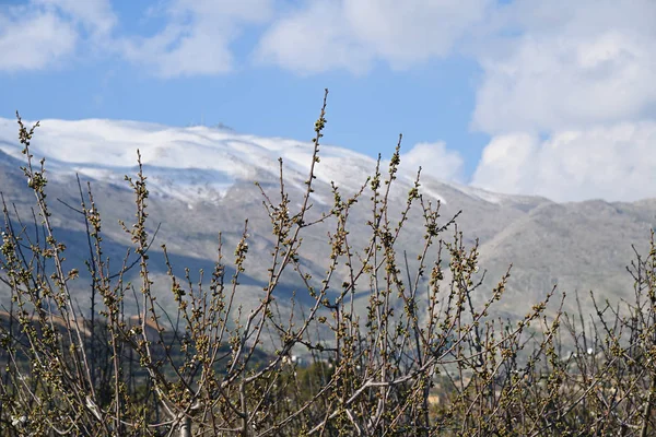 Hermon, Golan, Israel — Stockfoto