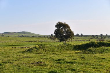 Golan Tepeleri, İsrail 