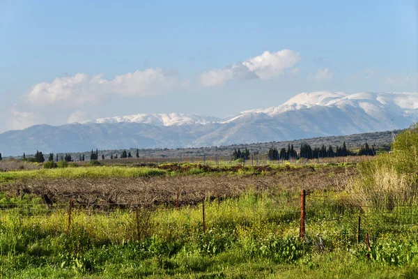 Golan Heights, Israel — Stock Photo, Image