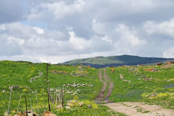Golanische Höhen, israel — Stockfoto