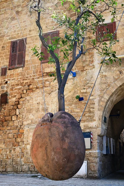 Oranje boom. Tel Aviv. De oude stad van Jaffa. Israël — Stockfoto