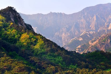 Kuzey Kore doğa