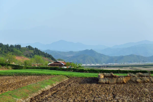 朝鲜。农村 — 图库照片