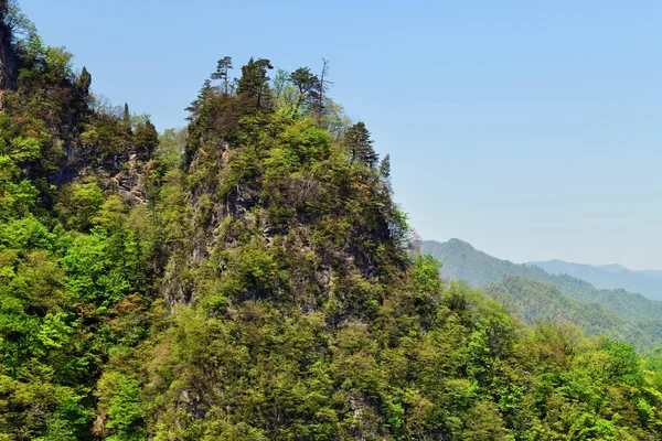 North Korean nature — Stock Photo, Image