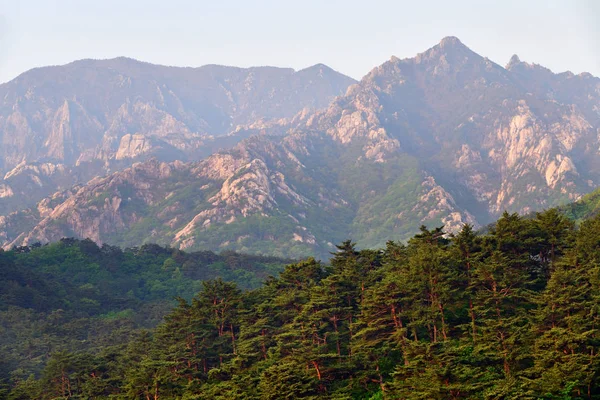 North Korean nature — Stock Photo, Image