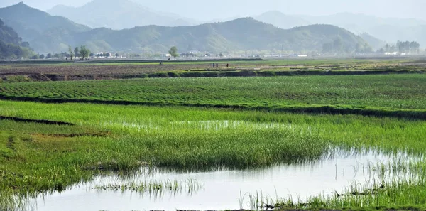 Coreia do Norte. Campo de aplicação — Fotografia de Stock