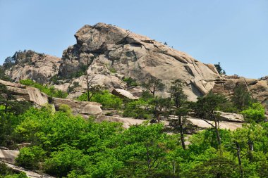 Kuzey Kore. Diamond Dağları. Mehmet