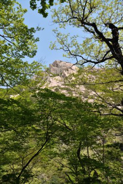 Kuzey Kore. Diamond Dağları. Mehmet